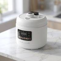 Cuisinière électrique multifonction 5L personnalisée B2B, 900W, haute efficacité, cuiseur à pression numérique avec pot antiadhésif, directement de l'usine
