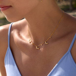 Collier J&D avec pendentif chaton et chien teckel en zircone cubique, hypoallergénique, plaqué or, bijou esthétique pour les amoureux des animaux - Product Image 1