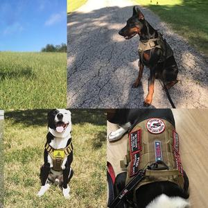 Disesuaikan disesuaikan Harness latihan anjing layanan rompi anjing taktis luar ruangan anjing Harness - Product Image 3