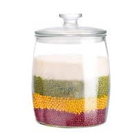 128OZ 1 Galon Wadah Kaca Flint Bebas Timbal, Aman untuk Mesin Cuci Piring, Anti Bocor, Anti Lembab, Tutup Flip Top, untuk Penyimpanan Fermentasi di Dapur