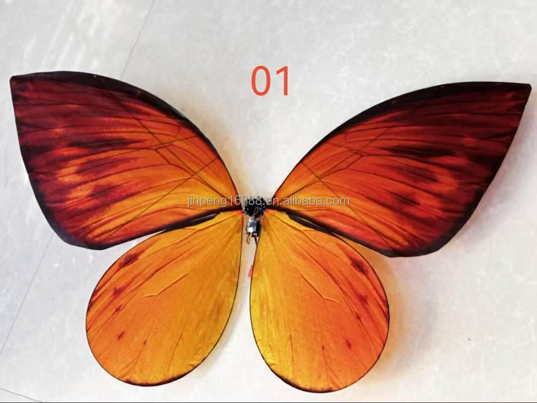Coloré 9