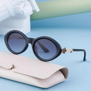 Gafas de Sol Irregulares Hechas a Medida para Mujer, Montura Negra de Moda, Lentes de PC con Protección UV400, Estilo Instagram, Gafas Redondas con Patillas Huecas - Product Image 1