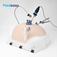 Simulateur laparoscopique hautement réaliste, boîte d'entraînement, type ventre, avec demi-peau pour la pratique de la laparoscopie