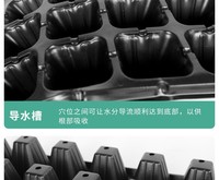 Plateaux de semis en plastique à cellules, plateaux de pépinière durables en PS pour la germination des plantes, fleurs et légumes de jardin, carrés
