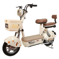 Vélo électrique portable 350W avec moteur arrière tout en cuivre, cadre en acier léger et batterie au plomb-acide à 3 vitesses pour adultes