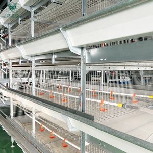 Equipo de cría de aves de corral duradero galvanizado en caliente tipo H nuevo automático batería de pollos de engorde jaula cinturón de limpieza de estiércol <span class=keywords><strong>para</strong></span> - Product Image 6