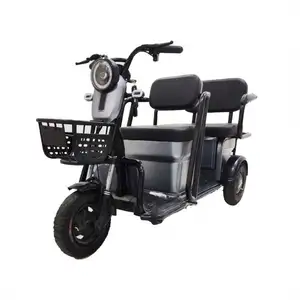 Putian Well Digital Triciclo A Pedalata Assistita Electric Tricycle From China Source Factory