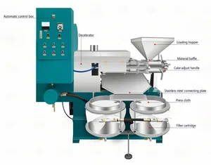 Oil left in cake is less than 6% Cooking Oil Making Machine Stainless Steel Type Screw Pressers For Oil Seeds