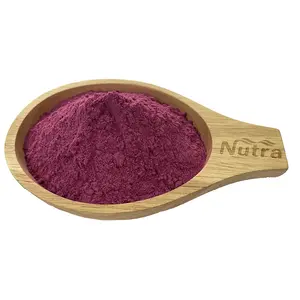 100% Natural Red Dragon Fruit Powder Organic Pitaya Juice Powder