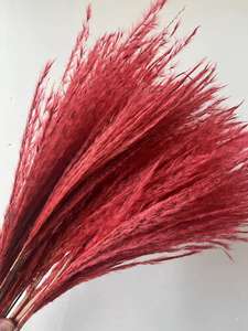 Brosse à <span class=keywords><strong>cheveux</strong></span> douce, bouquet <span class=keywords><strong>de</strong></span> <span class=keywords><strong>fleurs</strong></span> <span class=keywords><strong>séchées</strong></span>, décoration d'intérieur, Pâques, Halloween, vente en gros d'usine - Product Image 4