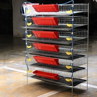 Cages pour cailles pondeuses, cages d'élevage pour cailles, cages pour poules pondeuses pour la production d'œufs