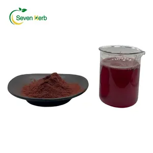 Natürliches Chokeberry-Pulver organisches Schwarzes Aronia-Chokeberry-Extrakt 15 % Anthocyanine Chokeberry-Extrakt