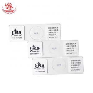 Tế bào động vật phân bào ascaris equis tử cung Crosscut phân chia tế bào Slide di truyền học kính hiển vi sinh học Slide - Product Image 3