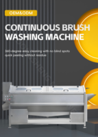 Volledig automatische multifunctionele reinigingsmachine voor sesam, tarwe, koffiebonen, maïs, fruit, groenten en rijst met motor.