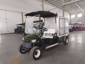 Carrito de Golf Eléctrico de 2 Plazas Directo de Fábrica en China, Motor de 5KW, Marco de Aluminio, Batería Leoch AGM, 90km de Autonomía, Certificado CE - Product Image 3