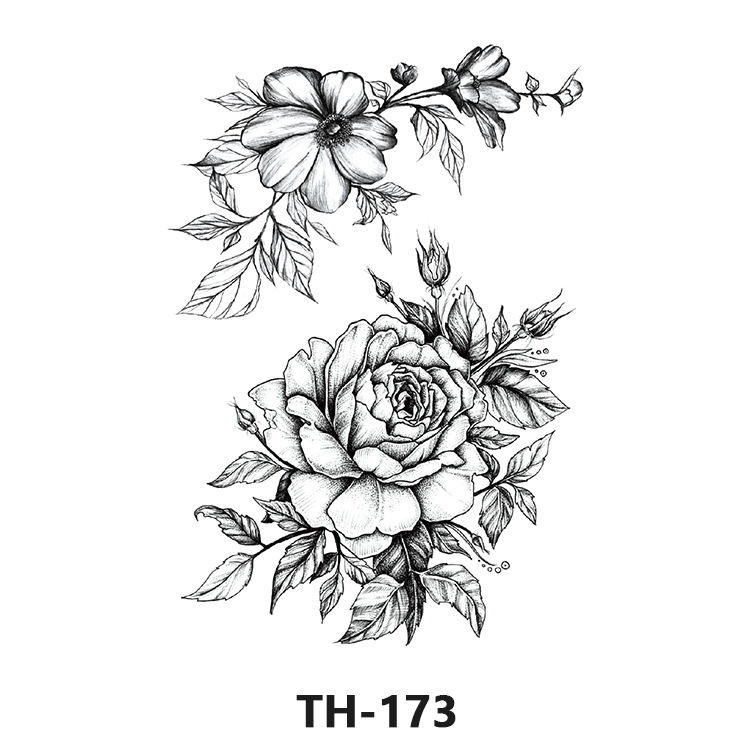 TH-173