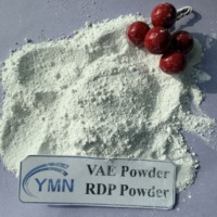 Poudre RDP, ciment blanc, poudre polymère, colle à ciment pour murs, adhésif pour carrelage, poudre polymère redispersible, poudre RDP VAE