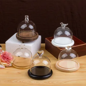 costom Display Decorative night light in bell jar glass dome with rose