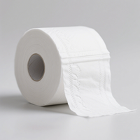 Kertas Toilet Ramah Lingkungan Sekali Pakai Grosir 2/3 Lapis Lembut Merek Ternama Virgin Natural Embossed Roll