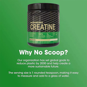 Poudre de créatine monohydrate pure Muscleblaze micronisée en vrac pour adultes, supplément sportif pour la gym, vente en gros directe usine - Product Image 5