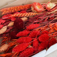 Buket bunga rumput Pampas kering buket Dekor Interior karangan bunga kering Mini buket pengantin pernikahan Boho alami