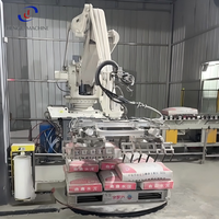 Bras robotique industriel de haute précision pour l'empilage de sacs en carton, robot de palettisation à commande PLC