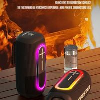 Altavoz Bluetooth Portátil Hopestar P60 de 20W, Resistente al Agua IPX7, con Luz RGB Rítmica, Radio FM Estéreo TWS, Altavoz de Mano para Exteriores