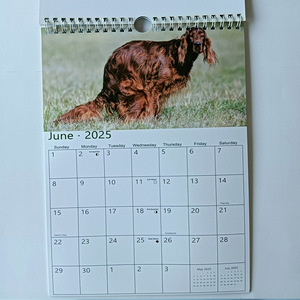 Calendrier mural A4 2026 personnalisé, calendrier de l'avent pour la maison avec chiens qui font pipi, calendrier personnalisé imprimé en spirale coloré - Product Image 5