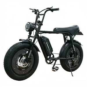 Bicicletas Eléctricas, Scooters para Adultos, Vehículos Eléctricos de Dos Ruedas con Batería de 48V y Motor en la Rueda Trasera - Product Image 1