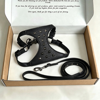 Ensemble Harnais et Laisse pour Chien en Cuir PU Ajustable avec Rivets, Style Punk, Décorations Métalliques, Kit de Promenade pour Animaux de Compagnie, Personnalisable OEM ODM