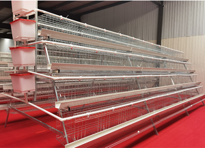 Nouvelle cage à poules automatique multi-niveaux en acier de type A pour élevage de poulets - Product Image 2