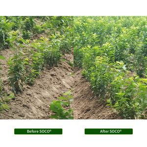 Tarım hidrojel tozu potasyum poliakrilat polimer - Product Image 2