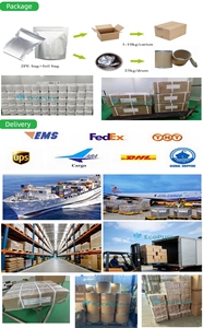 Organik Kurutulmuş <span class=keywords><strong>Shiitake</strong></span> Mantarı Tozu Doğal Mevsimlik <span class=keywords><strong>Shiitake</strong></span> Ekstresi Zengin Besin İçerikli - Product Image 5