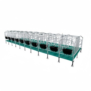 10 Corrales <span class=keywords><strong>de</strong></span> Gestación Jaulas <span class=keywords><strong>de</strong></span> Paridera para Cerdas Granjas Porcinas - Product Image 1