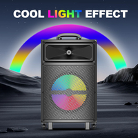 SING-E ZQS12139 Micrófono DJ Inalámbrico Portátil y Altavoz Bluetooth con Precio Competitivo para Uso Doméstico