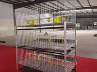 Cage à poulets automatique à 3 niveaux - Équipement d'élevage avicole à 2 portes pour l'élevage de poulets de chair (état neuf, meilleur prix)