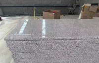 Dalles de granit gris en gros pour marches d'escalier extérieures et pierre naturelle flammée avec solution de conception graphique