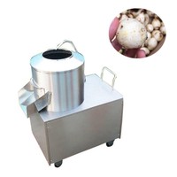 Industriële Fruit Groente Elektrische Huid Dunschiller Voor Verkoop