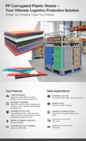 Plaque en plastique ondulé de 3 mm, 5 mm, 8 mm : Panneaux et coussinets Coroplast robustes pour l'empilage de palettes et la protection des chantiers