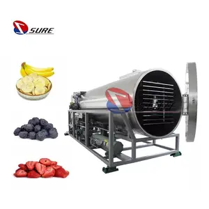 Freeze drying equipment vacuum pump Lyophilisation lyophilization vacuum dry system flower freeze dryer machine