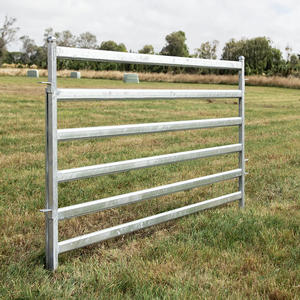 16 anni di fabbrica per il cortile del bestiame galvanizzato del pannello del cavallo 10 piedi - Product Image 5