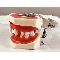 Fil de ligature et cire rouge pour modèle de pratique orthodontique - Outil de formation en compétences dentaires