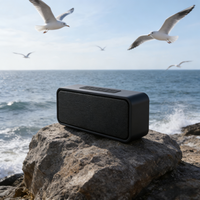 Haut-parleur sans fil portable mini IPX5 étanche 10W haute puissance, mode PC, haut-parleur de jeu pour les rassemblements en plein air