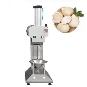 Good quality manual coconut peeler coconut meat peeling machine disk made in China