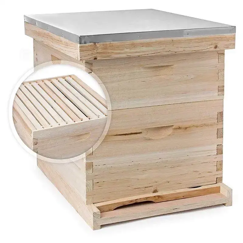 Ruche en bois Langstroth de haute qualité autre équipement d'élevage ruche apicole équipement d'apiculture