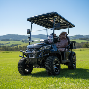 Supply Customized Color Golf Cart with <b>Box</b> for Commercial Use - Product Image 1