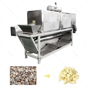 La ligne de production d'ail industrielle automatique complète comprend une machine de traitement de nettoyage de l'ail, de broyage, de tri et d'épluchage