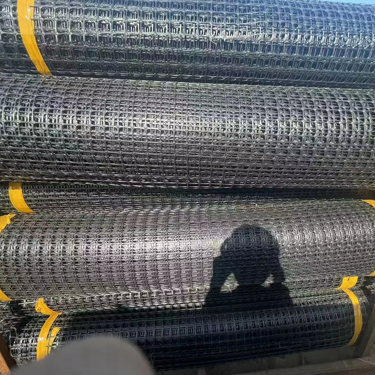 300-400g/m² Plastic PP Geogrids for Agricultural Fencing and Chicken/Duck Farming Nets