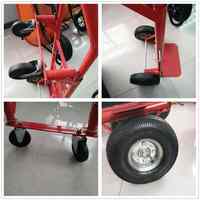 Carretilla de Plataforma de Acero, Precio Económico, Carretilla de Jardín, Carretilla de Transporte, Carretilla Manual, Carretilla de 200 kg de Capacidad, Carretilla Resistente