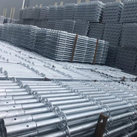 Andamios de Encofrado de Acero con Anillo de Bloqueo Industriales Rentables, Vãas Ajustables, Alta Resistencia, Resistentes a la Corrosión, Carga de 800 kg